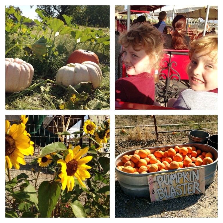 Hawes Farm - photos by Michelle Fairchild