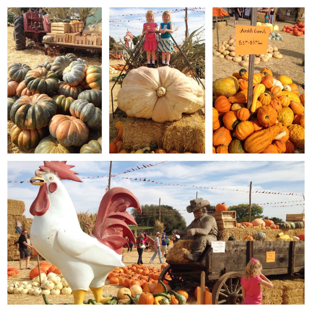 Larry's Produce - Photos by Michelle Fairchild
