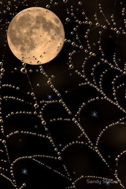 Image by Sandy Stewart