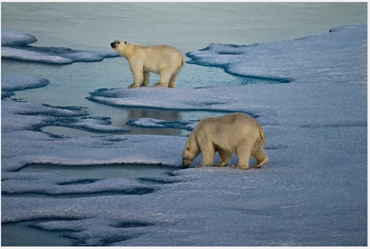 Photo by Camille Seaman