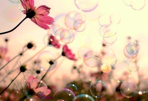 bubbles