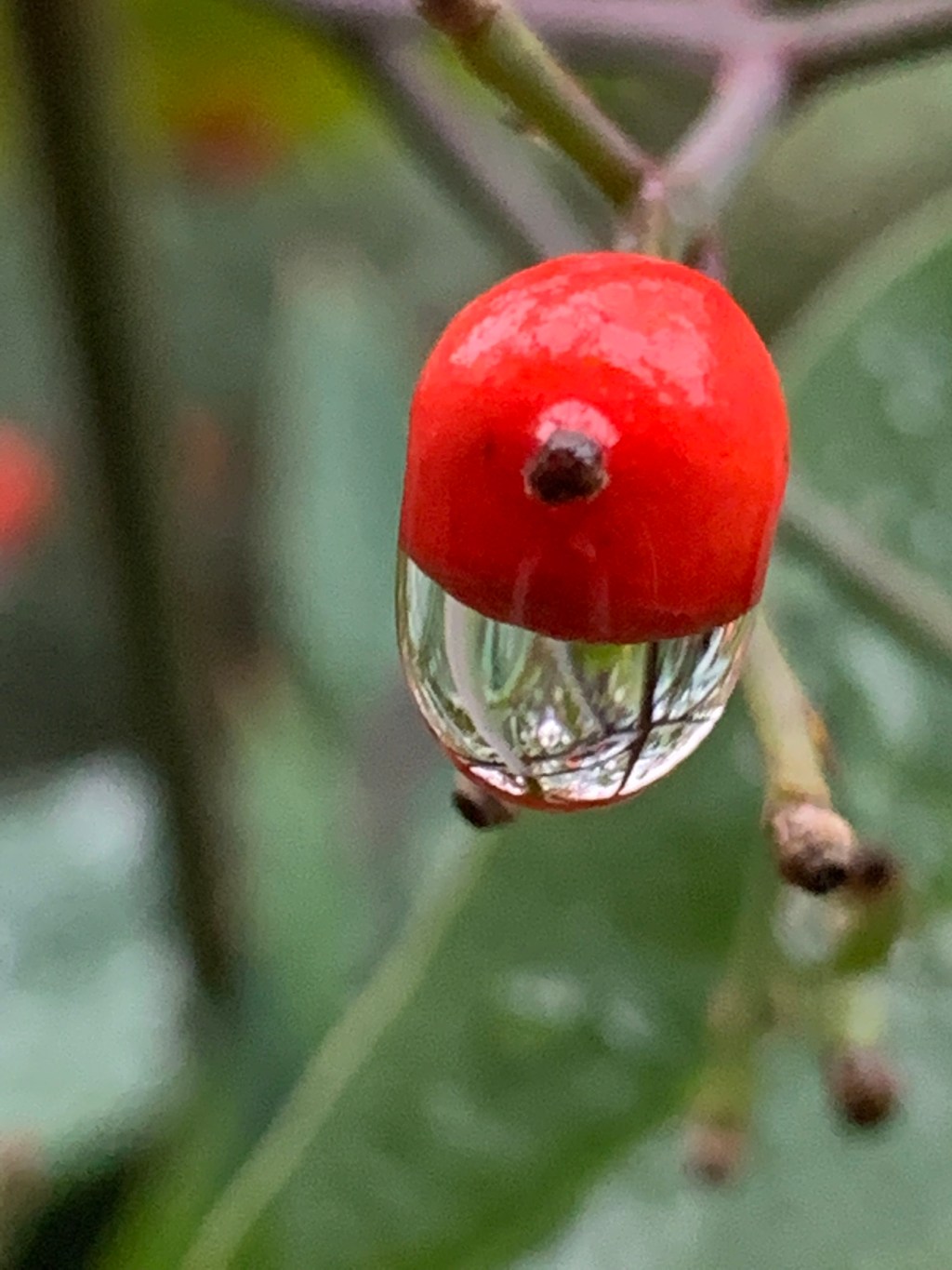 Notice the Little Things:&nbsp;Droplets