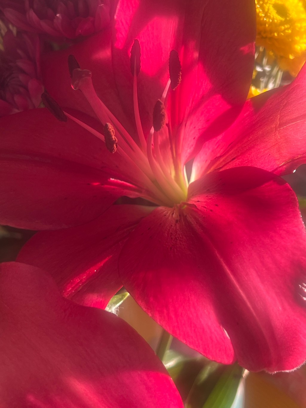 There Is No&nbsp;Returning