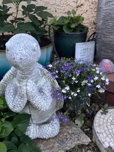 Meditating turtle in the garden Gray turtle statue with praying feet nestled in with potted plants.
