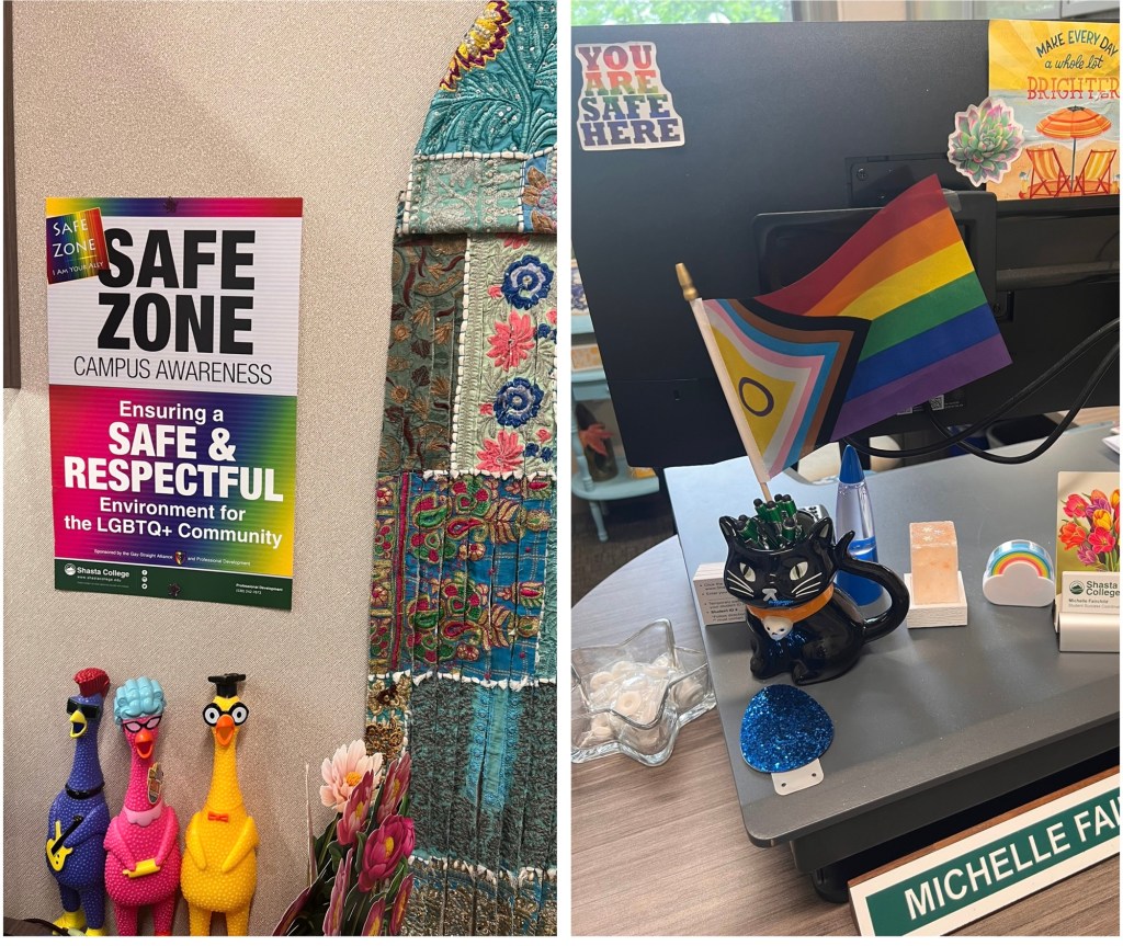 A side by side photo collage featuring two photos. Left side features a poster hanging on an office wall that has a larger header with black letters on a white background that reads Safe Zone Campus Awareness. Below that in a colorful rainbow colored area is the following in white type Ensuring a Safe & Respectful Environment for the LGBTQ+ Community. Sponsored by the Gay Straight Alliance and Professional Development. At the bottom in a forest green footer is the Shasta College logo on the left side and on the right Professional Development. The right side photo features part of a corner of a desk where we see the backside of a computer monitor and on it is a sticker that reads You Are Safe Hear and below is a ceramic black cat mug with pens and an Intersex Inclusive Progress Pride Flag